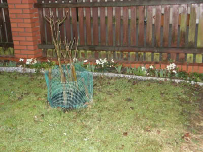 17493080 764624320357225 1479762981428748813 O