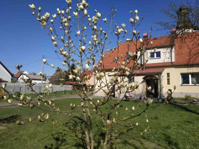 Image001
