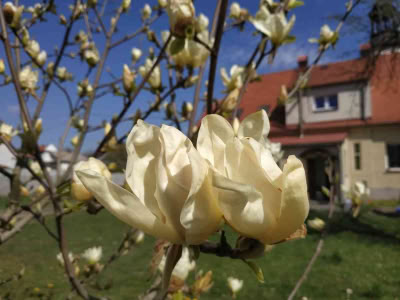 Image003