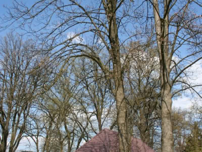 Img 8059 1