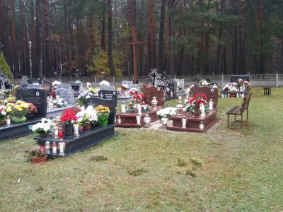 23331193 882898915196431 6197209354641086145 O