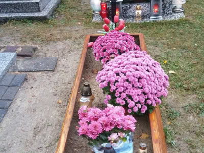 23333956 882899211863068 7829542739087191898 O