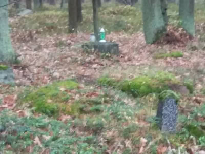 23334381 882898658529790 4907506348475168011 O