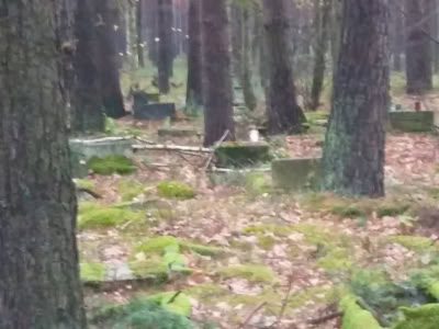 23405679 882898668529789 8057582908372599838 O