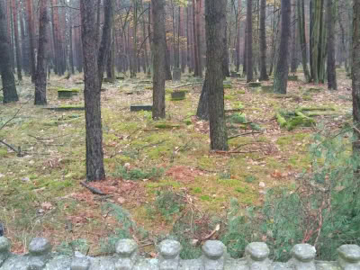 23415316 882899258529730 6445989538335664939 O