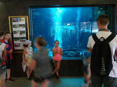 Img 20190702 150642