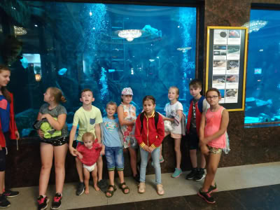 Img 20190702 150739