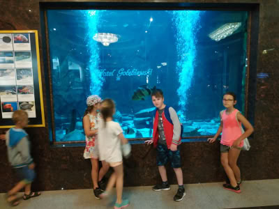 Img 20190702 150747