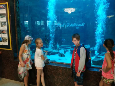 Img 20190702 150755