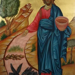 19.07.2026 r. – XVI NIEDZIELA ZWYKŁA, ROK A
